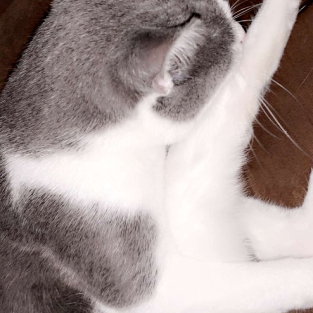 Meet your Posher, Kristina